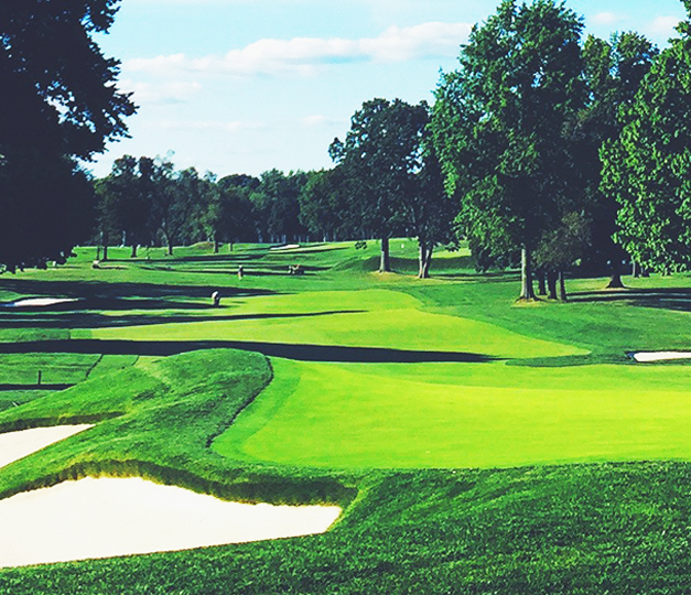 Tournoi de golf